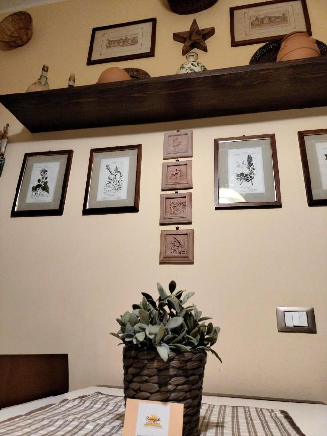 利沃诺Sunnyside Accademia公寓 外观 照片